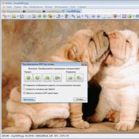 XnView - бесплатный просмотрщик графики с возможностью редактирования и цветокоррекции Просмотр изображений xnview
